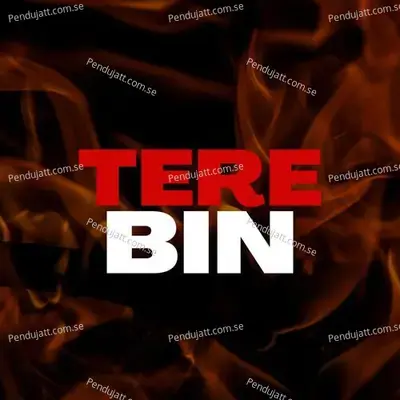 Tere Bin - Pradhumn Rajput album cover 