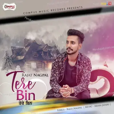 Tere Bin - Rajat Nagpal album cover 