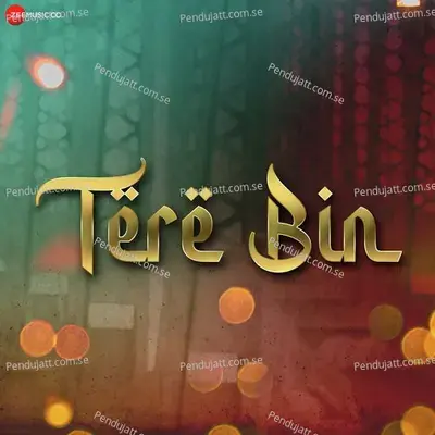 Tere Bin - Shani Arshad