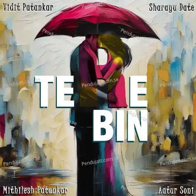 Tere Bin - Vidit Patankar album cover 