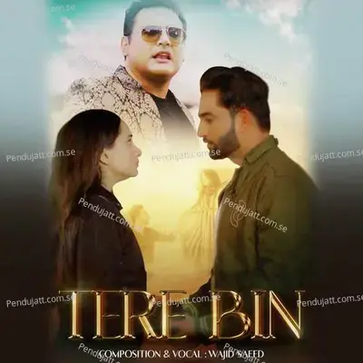 Tere Bin - Wajid Saeed album cover 