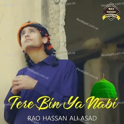 Tere Bin Ya Nabi - Rao Hassan Ali Asad album cover 