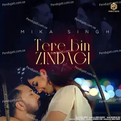 Tere Bin Zindagi - Mika Singh album cover 