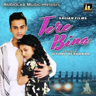 Tere Bina - Arnab Dutta album cover 