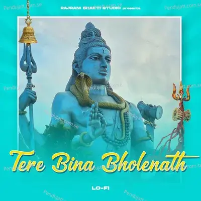 Tere Bina Bholenath - Lofi mp3 song