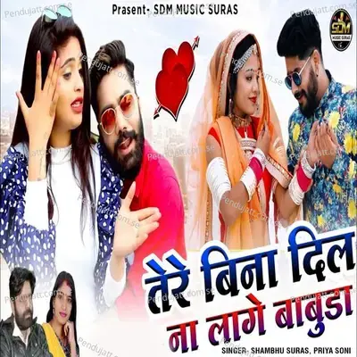 Tere Bina Dil Na Lage Babuda - Shambhu Suras album cover 