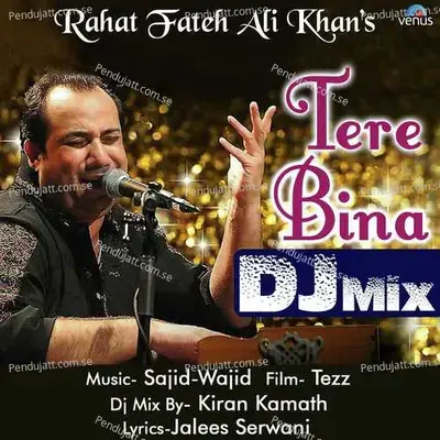 Tere Bina Dj Mix - Rahat Fateh Ali Khan album cover 