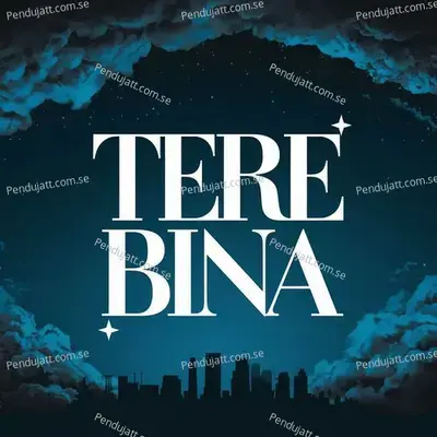 Tere Bina - Faizan Amjad album cover 