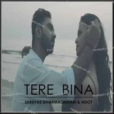 Tere Bina - Saurabh Chauhan album cover 