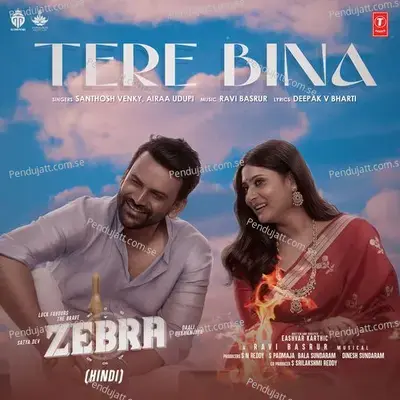 Tere Bina - Santhosh album cover 