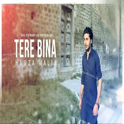 Tere Bina - Hamza Malik album cover 