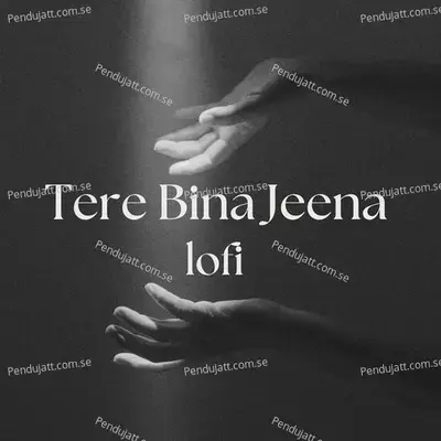 Tere Bina Jeena - Tatva K album cover 