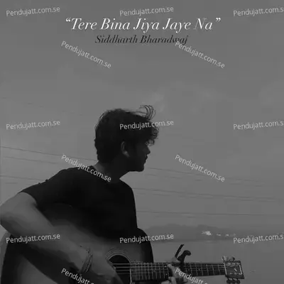 Tere Bina Jiya Jaye Na - Siddharth Bharadwaj album cover 