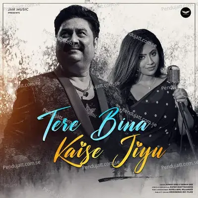 Tere Bina Kaise Jiyu - Kumar Sanu album cover 