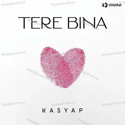 Tere Bina - Kasyap album cover 