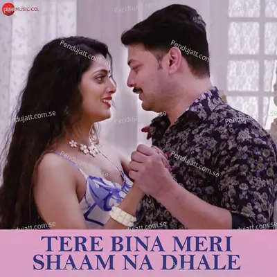 Tere Bina Meri Shaam Na Dhale - Vikram Kumar album cover 