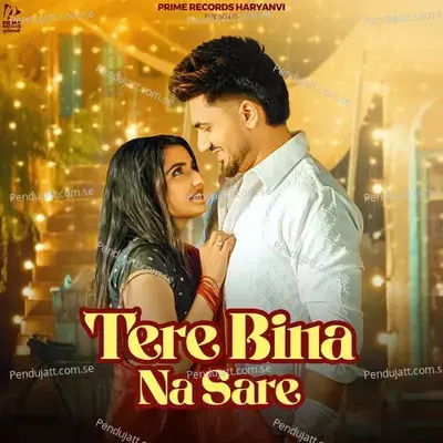 Tere Bina Na Sare - Shiva Choudhary album cover 