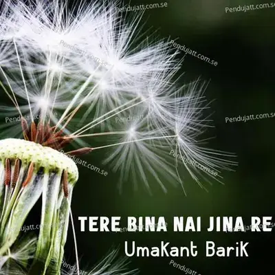 Tere Bina Nai Jina Re - Umakant Barik album cover 