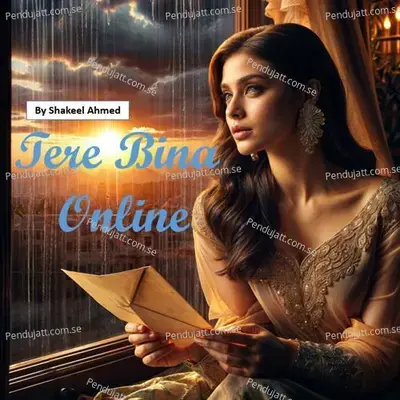 Tere Bina Online - Shakeel Ahmed album cover 