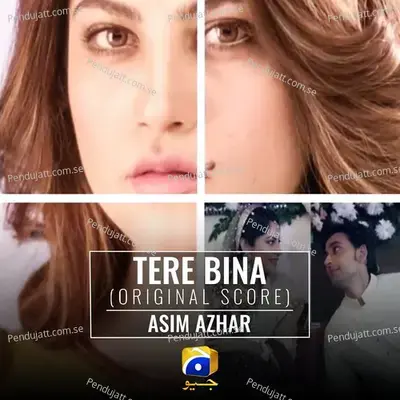 Tere Bina - Asim Azhar album cover 