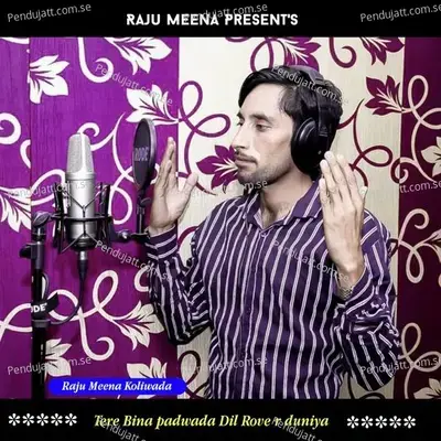 Tere Bina Padwada Dil Rove R Duniya - Raju Meena Koliwada album cover 