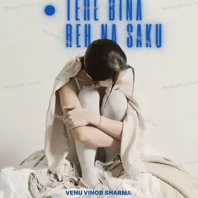 Tere Bina Reh Na Saku - VENU vinod sharma album cover 