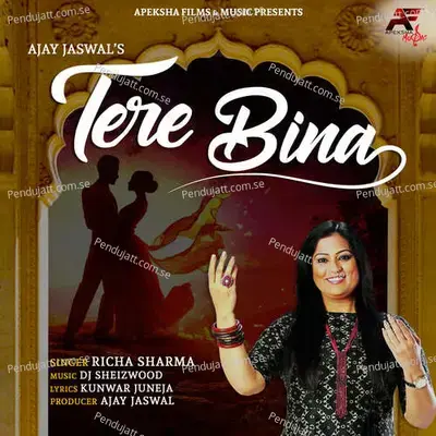 Tere Bina - Richa Sharma album cover 