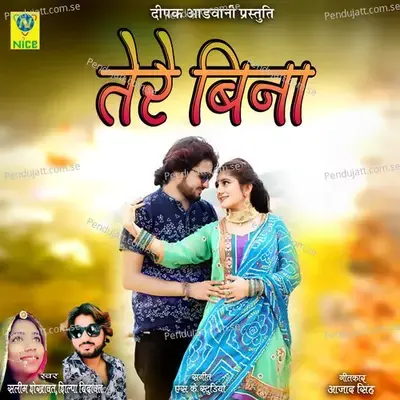 Tere Bina - Salim Shekhawas album cover 