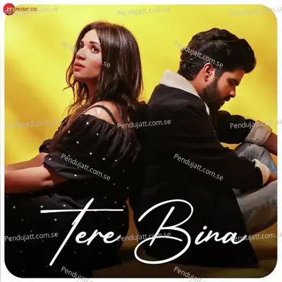 Tere Bina - Salman Ali album cover 