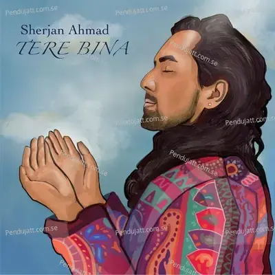 Tere Bina - Sherjan Ahmad album cover 