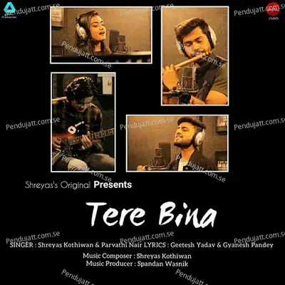 Tere Bina - Shreyas Kothiwan album cover 