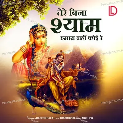 Tere Bina Shyam Hamara Nahi Koi Re - Rakesh Kala album cover 