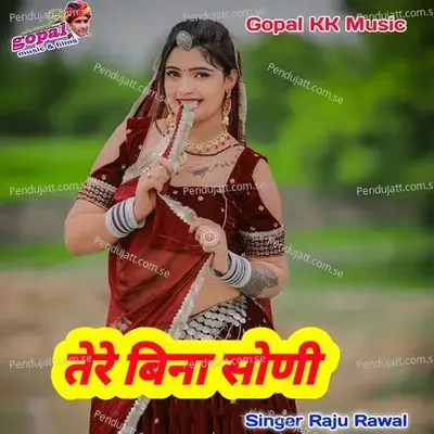 Tere Bina Soni - Raju Rawal album cover 