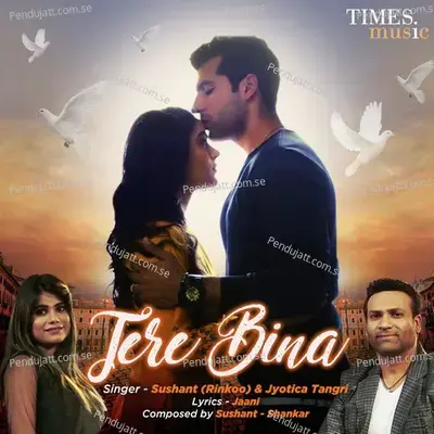 Tere Bina - Sushant Sharma album cover 