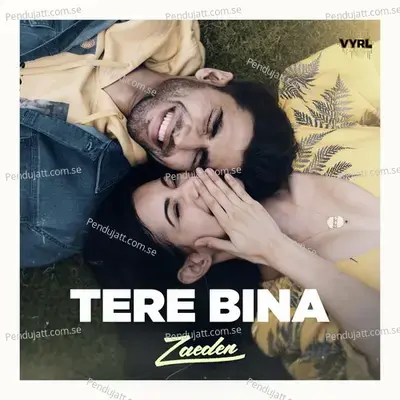 Tere Bina - Zaeden