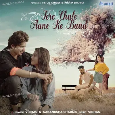 Tere Chale Aane Ke Baad - Vibhas album cover 