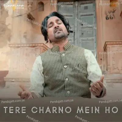 Tere Charno Mein Ho - Sanatana Sankirtan album cover 