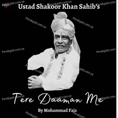 Tere Daaman Me - Mohammad Faiz album cover 