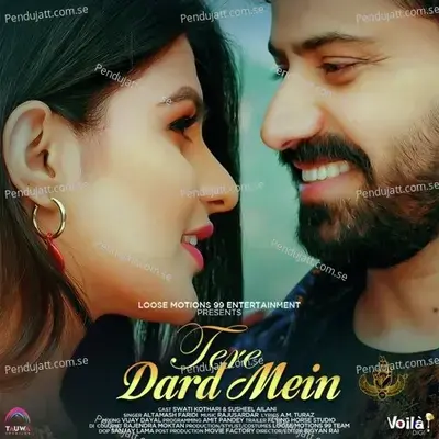 Tere Dard Mein - Altamash Faridi album cover 