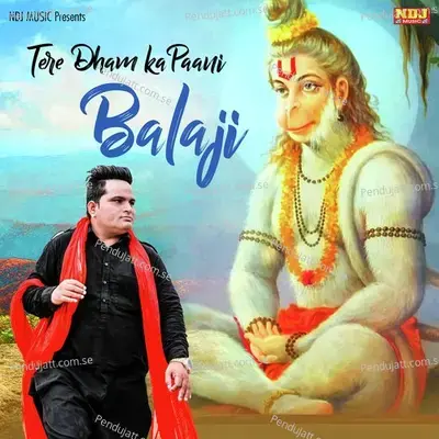 Tere Dham Ka Paani Bala Ji - Raju Punjabi album cover 