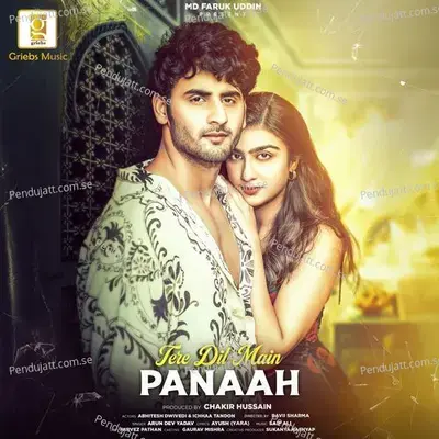 Tere Dil Main Panaah - Arun Dev Yadav album cover 