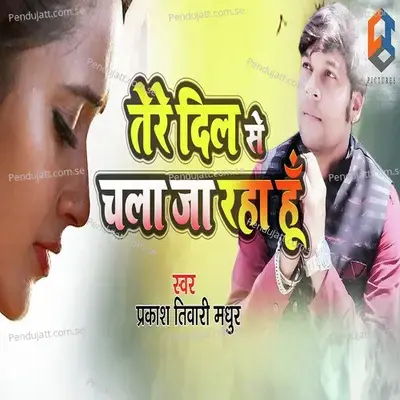 Tere Dil Se Chala Ja Raha Hu - Prakash Tiwari Madhur album cover 