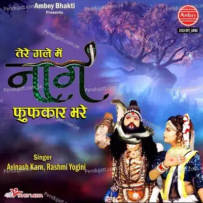 Tere Gale Me Nag Fufkar Bhare - Avinash Karn album cover 