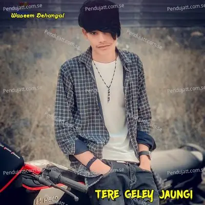 Tere Geley Jaungi - Waseem Dehangal album cover 