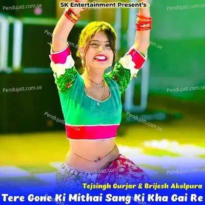 Tere Gone Ki Mithai Sang Ki Kha Gai Re - Tejsingh Gurjar album cover 