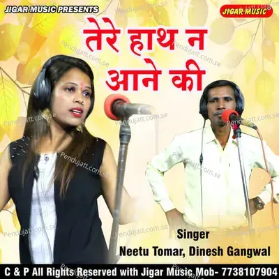 Tere Haath Na Aane Ki - Neetu Tomar Dinesh Gangwal album cover 