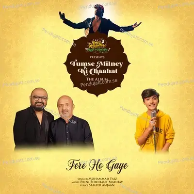 Tere Ho Gaye - Mohammad Faiz album cover 