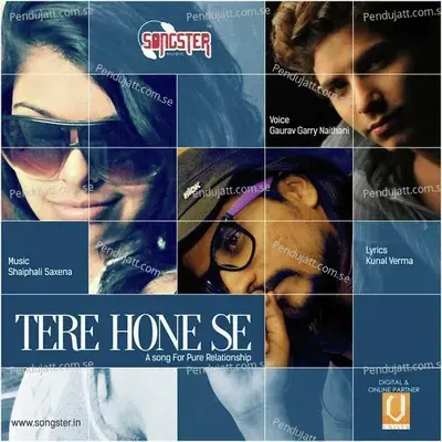 Tere Hone Se - Gaurav Garry Naithani album cover 