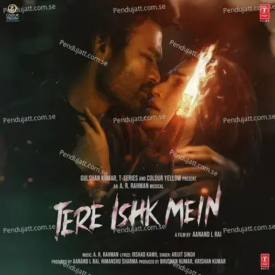 Tere Ishk Mein - Irshad Kamil album cover 