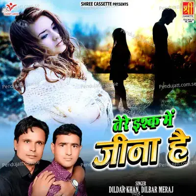 Jata Hu Main Jaha Se - Dildar Khan album cover 